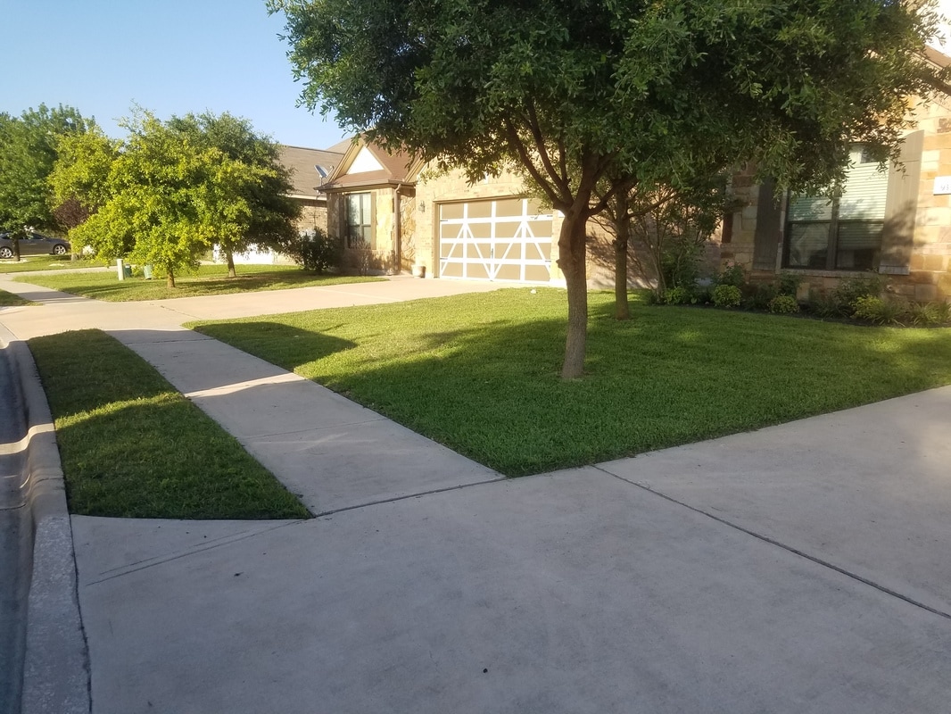 A Well Maintained Lawn in Austin Texas