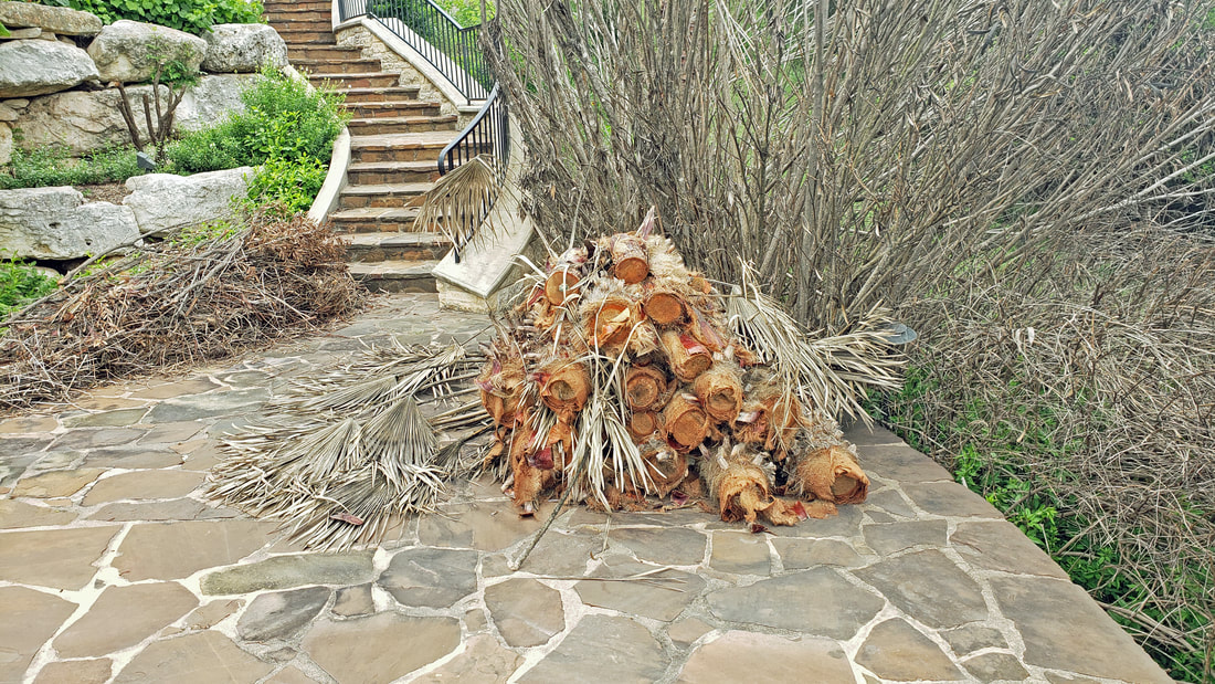 Removal of Organic Debris with Yard Cleaning