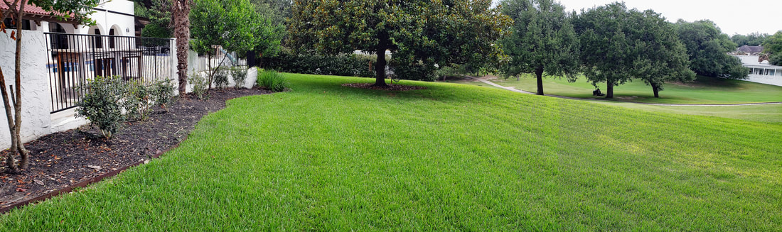 Lawn Mowing, Edging, and Blow Cleaning included in Yard Cleaning Service