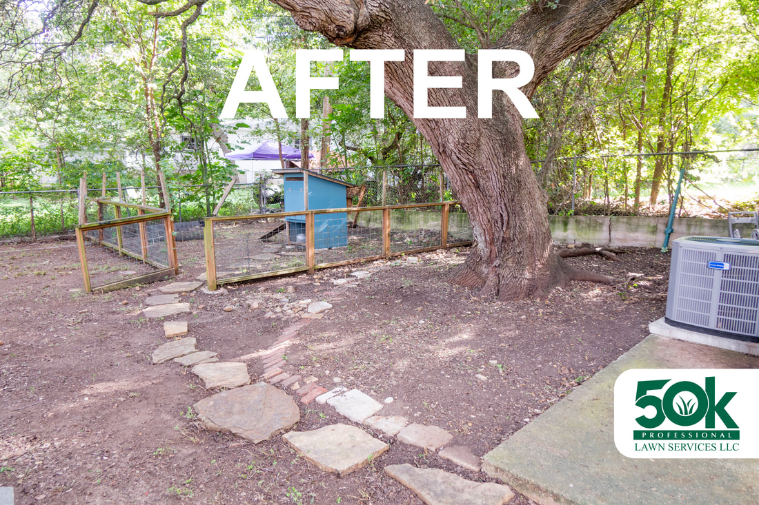 After Leaf Removal Service (real client photo)