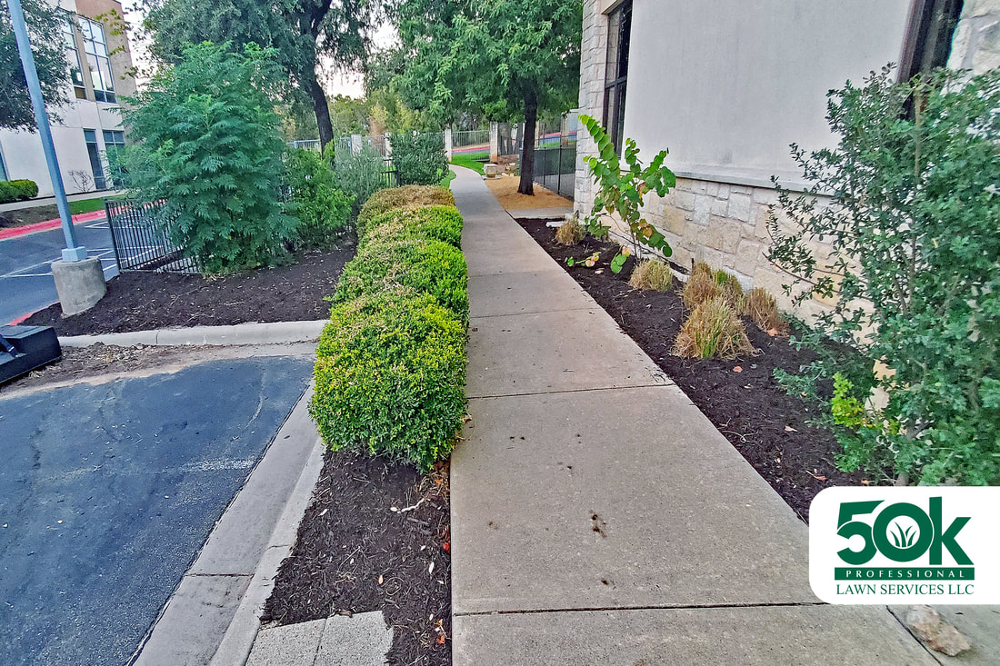Well-maintained garden in South Austin with fresh brown mulch installation.