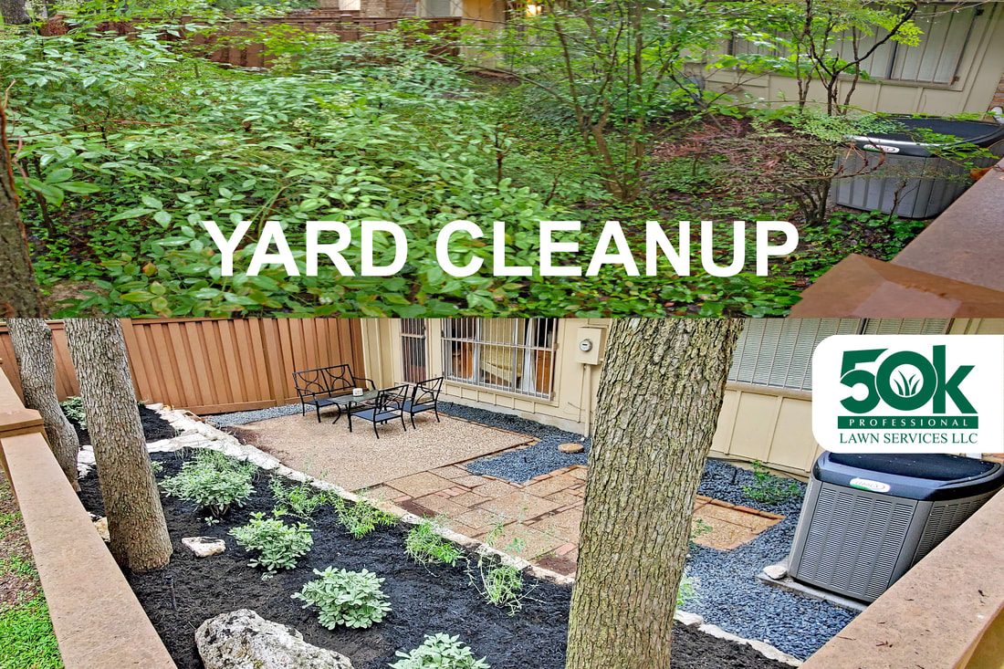 Full Yard Clean-up 