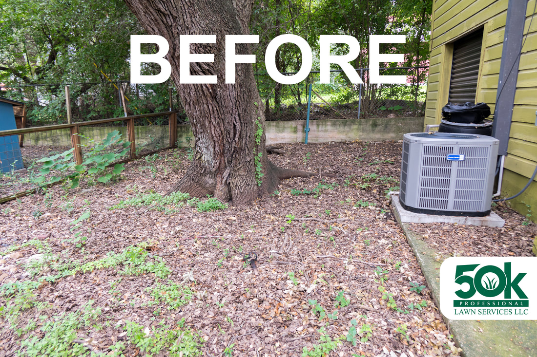 Before Leaf Removal Service (real client photo)