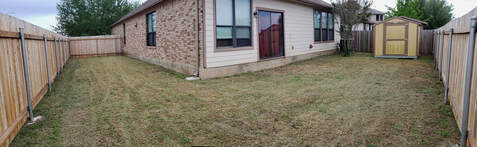 Before Organic Lawn Care with Seeding Service