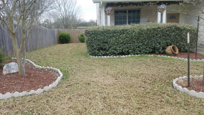 A Lawn Dethached in South Austin
