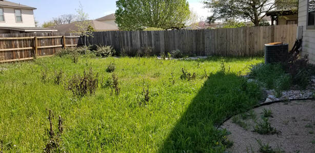 Before Photo of Lawn Service Austin