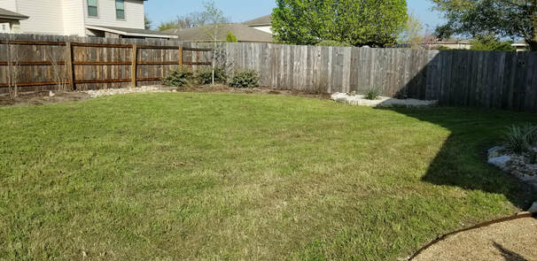After Photo of Lawn Mowing Service Austin