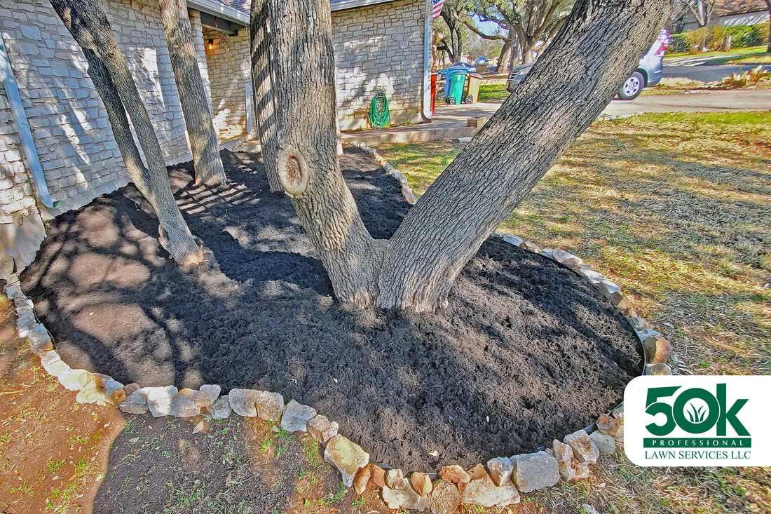 A residential garden in South Austin, enhanced with professionally installed black mulch.
