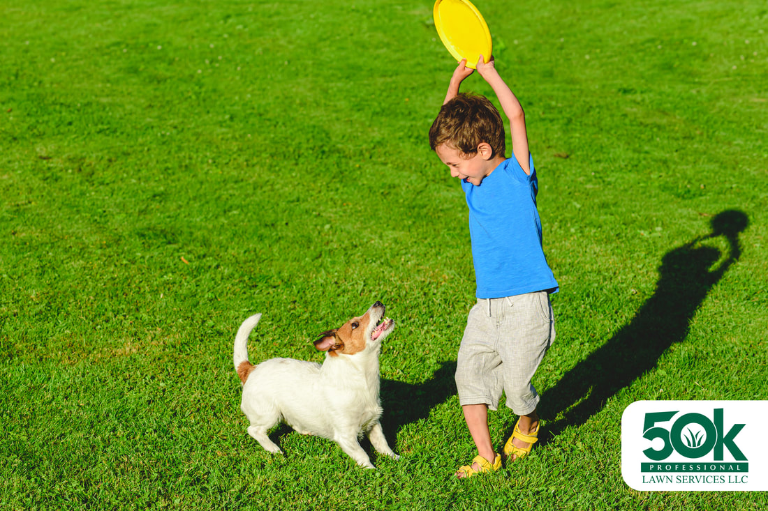Organic Lawn Care Safe for Family, Pets, and the Environment
