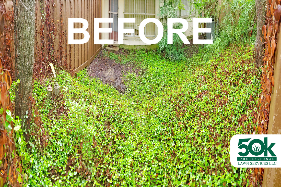Before Yard Cleanup and Landscape Installation at the Balcones Hills neighborhood in west Austin. (Angle 2)