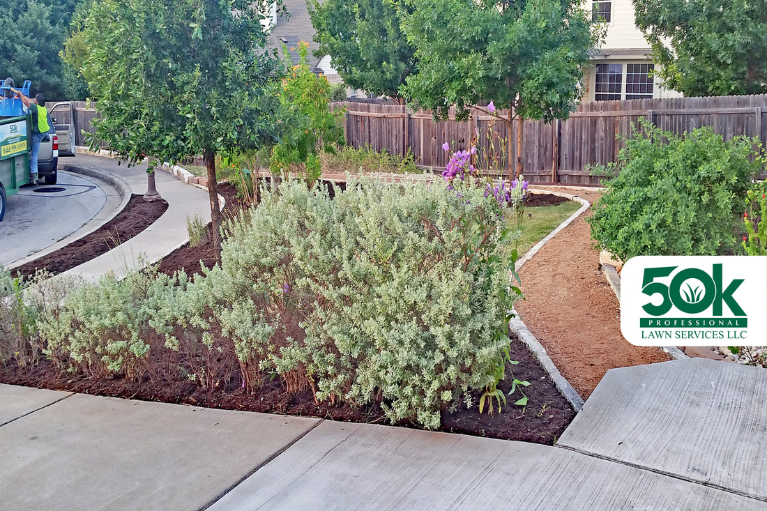 Decomposed Granite Pathway and Limestone Edging with Lawn and Mulched Beds with softscaping installation at west Austin.